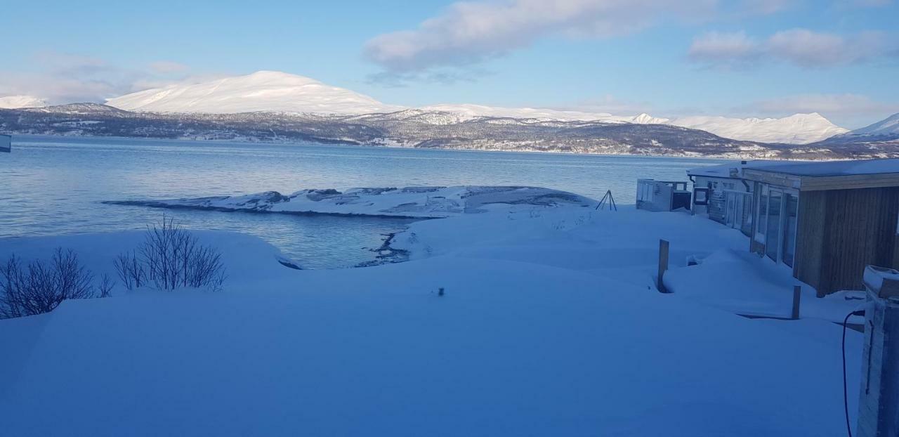 Malangen Apartment Kjerkevik Exteriör bild