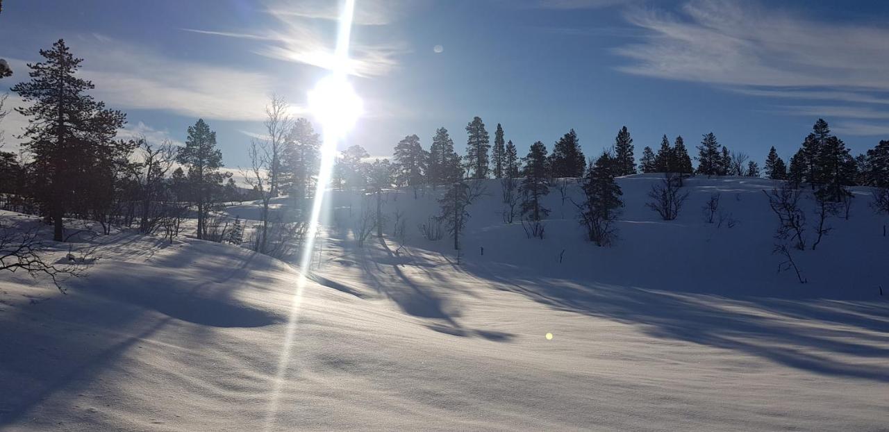 Malangen Apartment Kjerkevik Exteriör bild